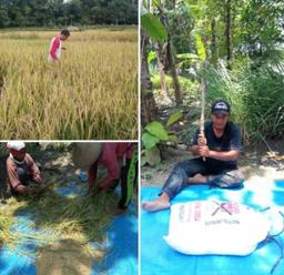 Turun ke Sawah Demi Data Produktivitas yang Akurat